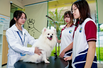 “毛孩子”牵出大市场，新专业培育“护宠人”